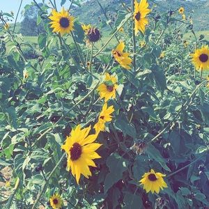 Meet your Posher, Yesenia